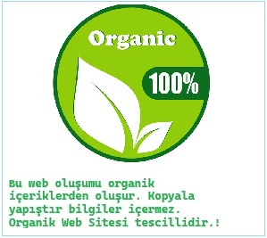 Bir İcra Takibinin basit haritası